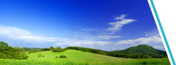 Meadow land