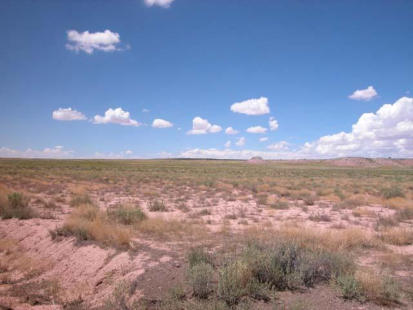 San Acacio lot