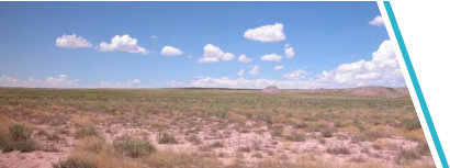 Fort Garland property